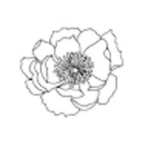 Meet your Posher, Cassady